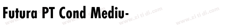Futura PT Cond Mediu字体转换